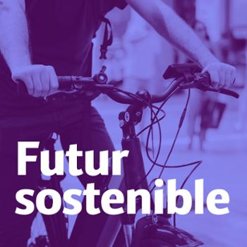 Futur sostenible